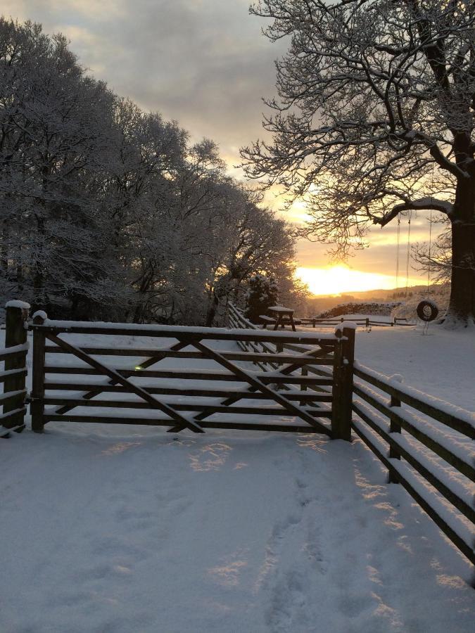 Holmeshead Farm Ambleside Exterior foto